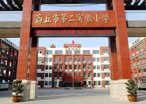 笔墨挥洒,南隅雅风 2020商丘市第二实验小学精品活动社团专辑 三