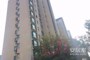 大华锦绣华城十一街区综合评测：优点、不足与周边教育资源分析