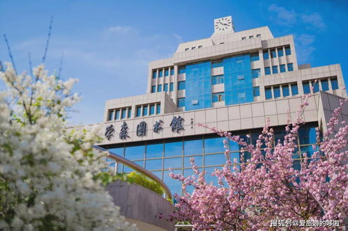 一眼千年繁华，一梦古都盛景：大华第二小学如何点亮古城新生机