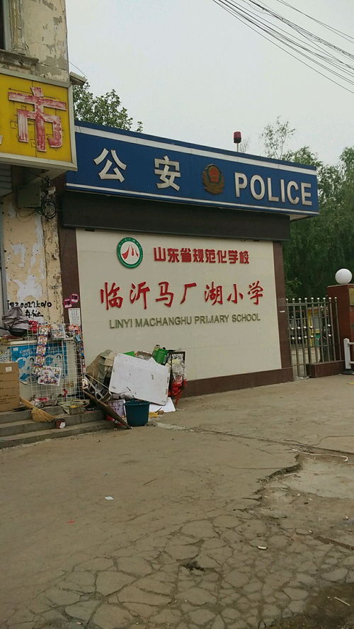 马厂湖小学与大华第二小学 两所教育机构的特色与比较