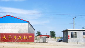 昌乐大华多层板厂与第二小学 工业与教育的和谐共生