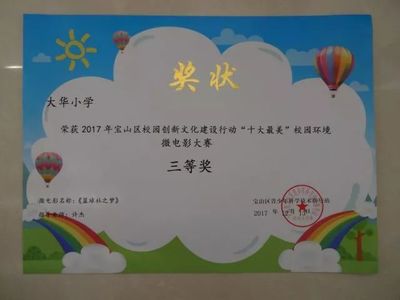 耕耘收获——大华第二小学科技创新教育硕果累累