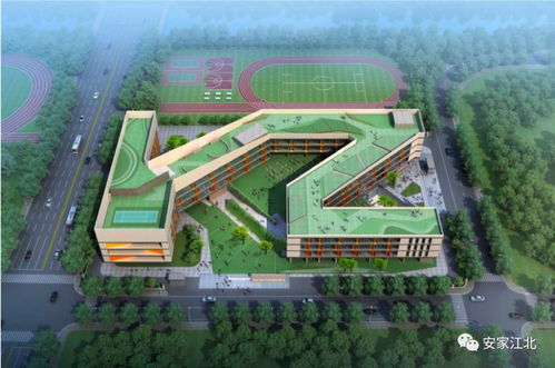 江北核心区这所学校正式封顶，今年就开学——大华第二小学建设纪实